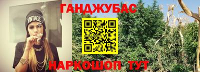 герыч Лесосибирск