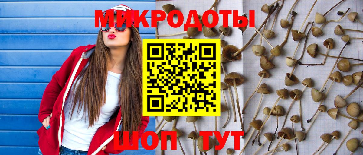 Гай  цены   Вход с VPN  Галлюциногенные грибы Psilocybe  Псилоцибиновые грибы мухоморы 